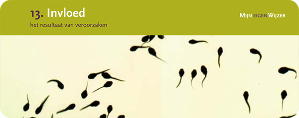Mijn eigen Wijzer