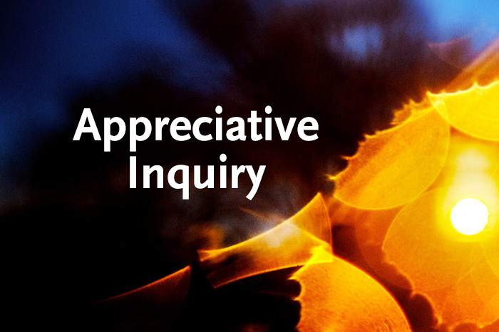 Appreciative Inquiry