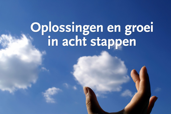 Oplossingsgericht werken