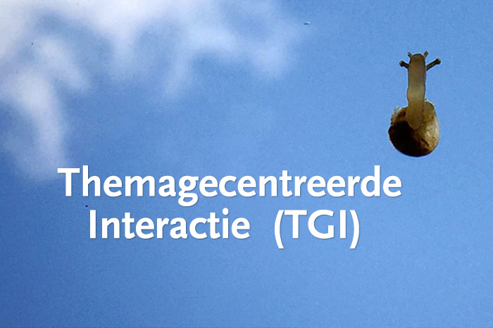 Themagecentreerde Interactie (TGI)