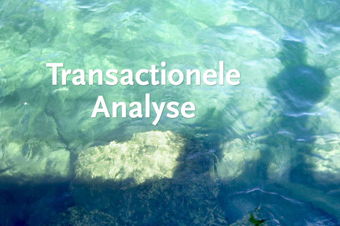 Transactionele analyse