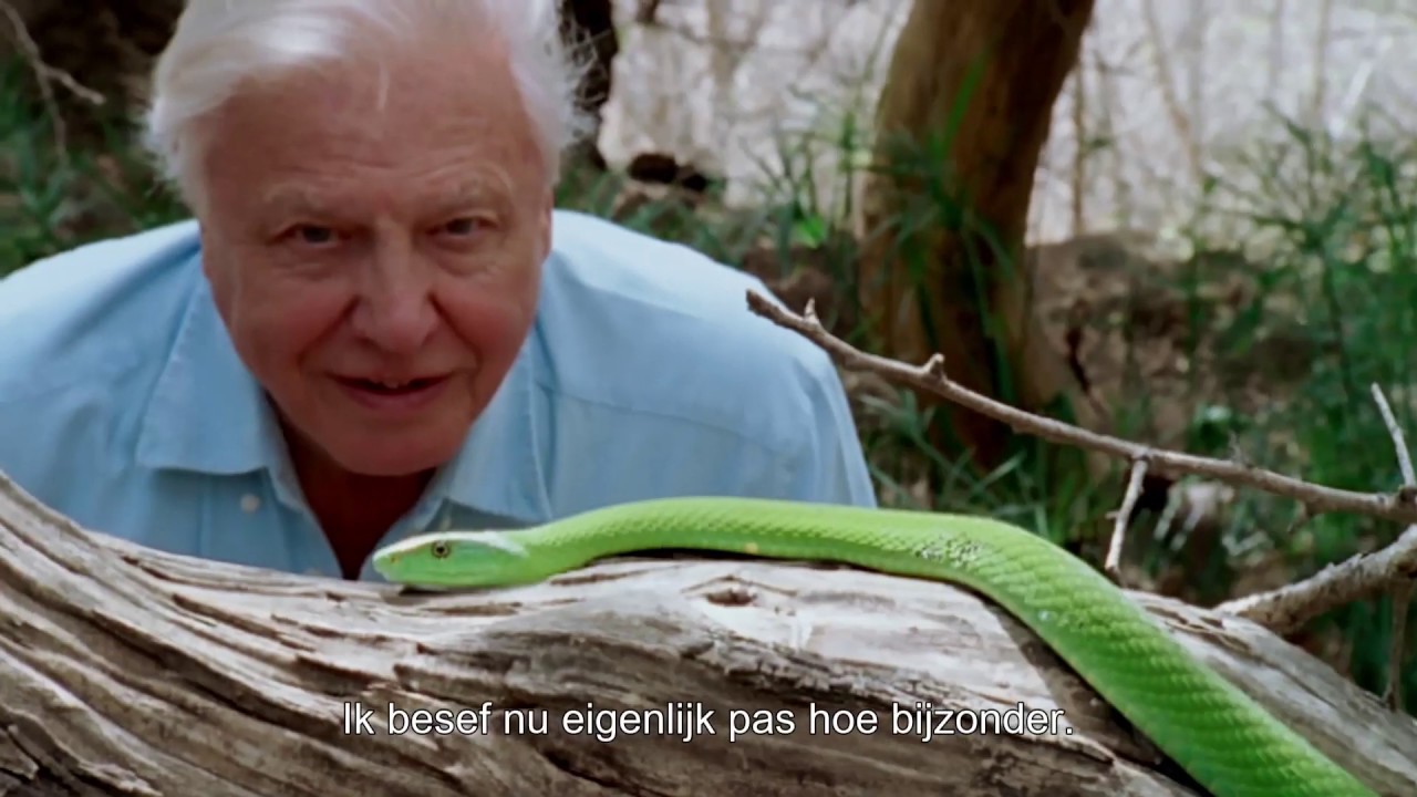 A Life On Our Planet Van David Attenborough